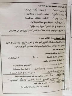 امتحان اللغة العربية للسادس الابتدائى الترم الثانى 2016 القاهرة
