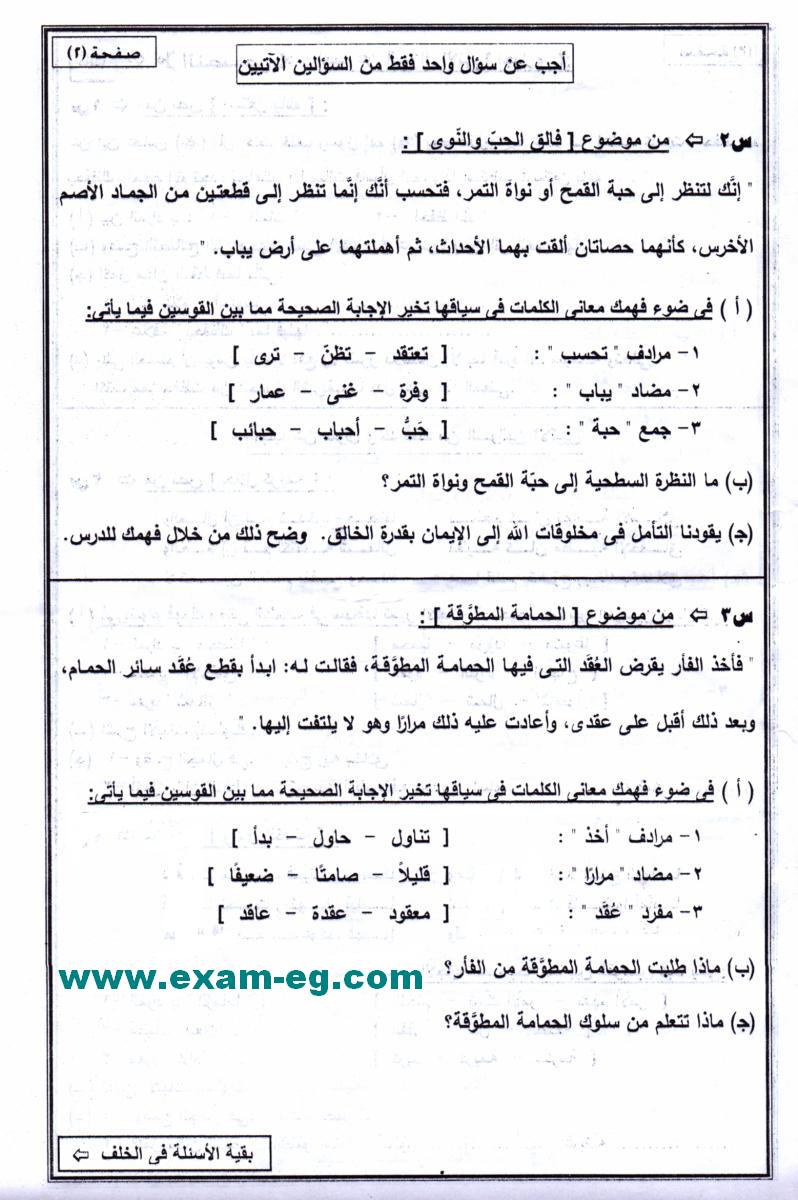 exam-eg.com_1463316822632.jpg