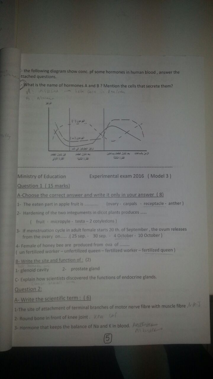 نماذج الوزارة ٢٠١٦ احياء لغات + الاجابة / Experimental Exam Biology 2016