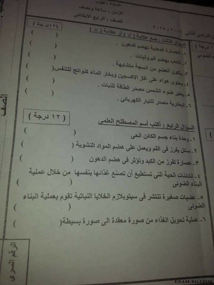 امتحان العلوم للصف الرابع الابتدائى الترم الثانى 2018 ادارة المرج بالقاهرة