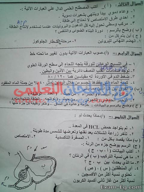 امتحان الاحياء للصف الثانى الثانوى نصف العام 2019 ادارة التحرير بالبحيرة