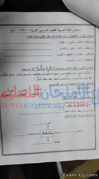 امتحان اللغة العربية للصف الثانى الابتدائى 2019 الترم الاول ادارة المنشأة بسوهاج
