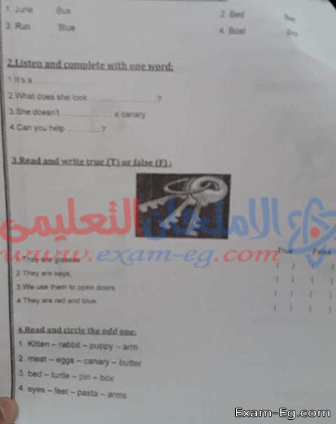 امتحان اللغة الانجليزية للصف الرابع الابتدائى الترم الاول 2019 القاهرة