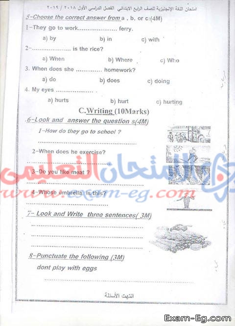 exam-eg.com_15470447918914.jpg