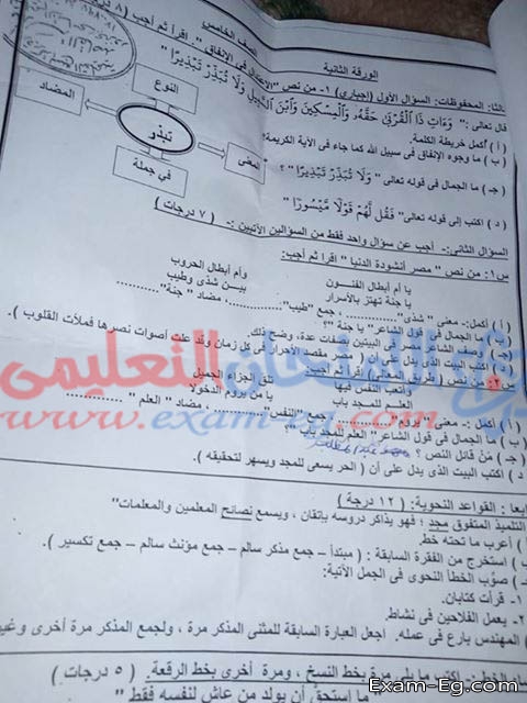 امتحان اللغة العربية للصف الخامس الابتدائى الترم الاول 2019 المنوفية
