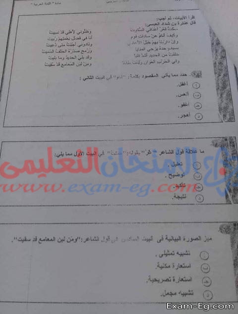 امتحان اللغة العربية التجريبى للصف الاول الثانوى 2019 الفعلى (النظام الجديد)