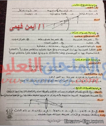 اجابة امتحان العلوم للشهادة الاعدادية نصف العام 2019 بمحافظة شمال سيناء