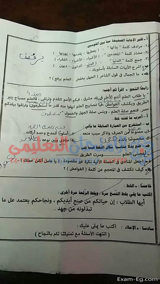 امتحان اللغة العربية للشهادة الاعدادية الترم الاول 2019 محافظة القاهرة