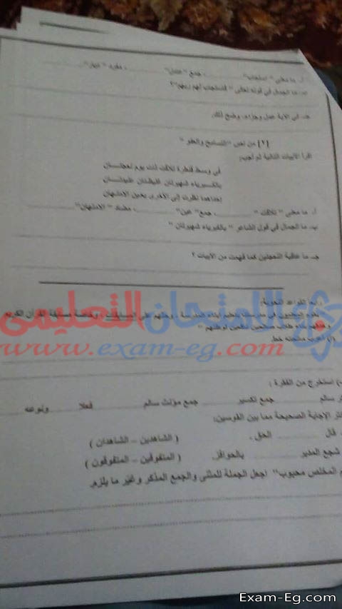 امتحان العربى لخامسة ابتدائى الفصل الدراسى الاول 2019 محافظة الدقهلية