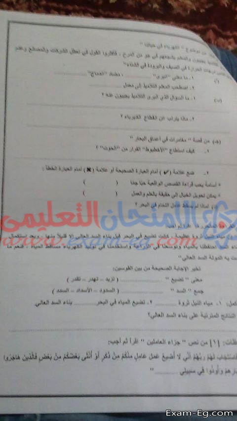 امتحان العربى لخامسة ابتدائى الفصل الدراسى الاول 2019 محافظة الدقهلية