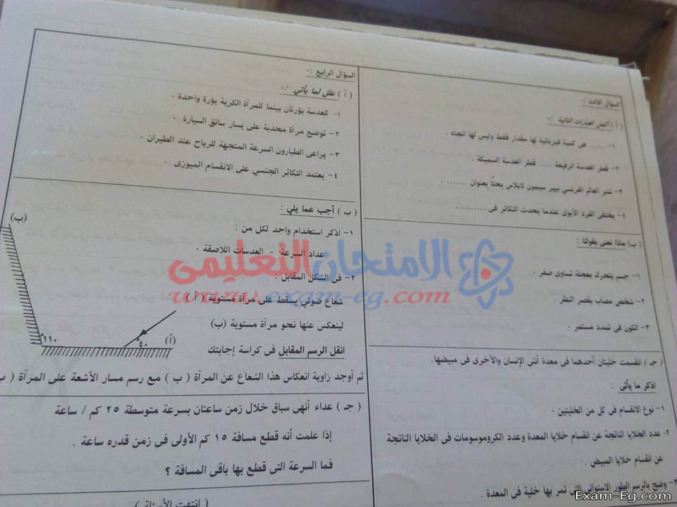 امتحان العلوم للصف الثالث الاعدادى الترم الاول 2019 محافظة البحيرة