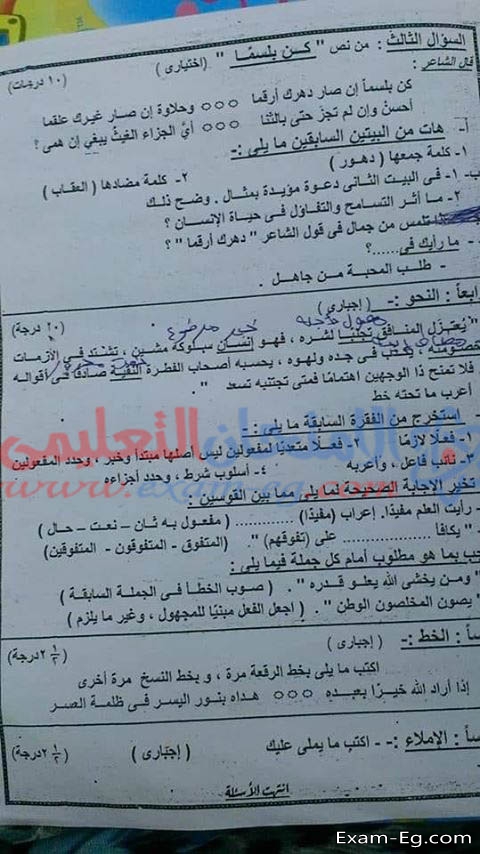 امتحان العربى لاولى اعدادى الفصل الدراسى الثانى 2019 محافظة بور سعيد