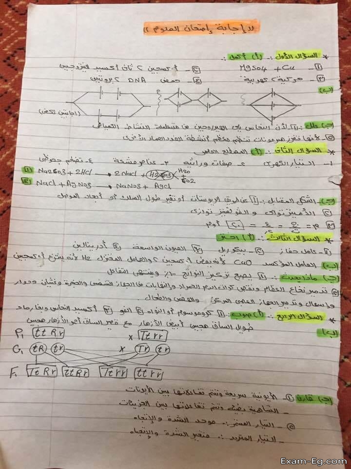 امتحان العلوم للصف الثالث الاعدادى الترم الثانى 2019 محافظة شمال سيناء + الاجابة