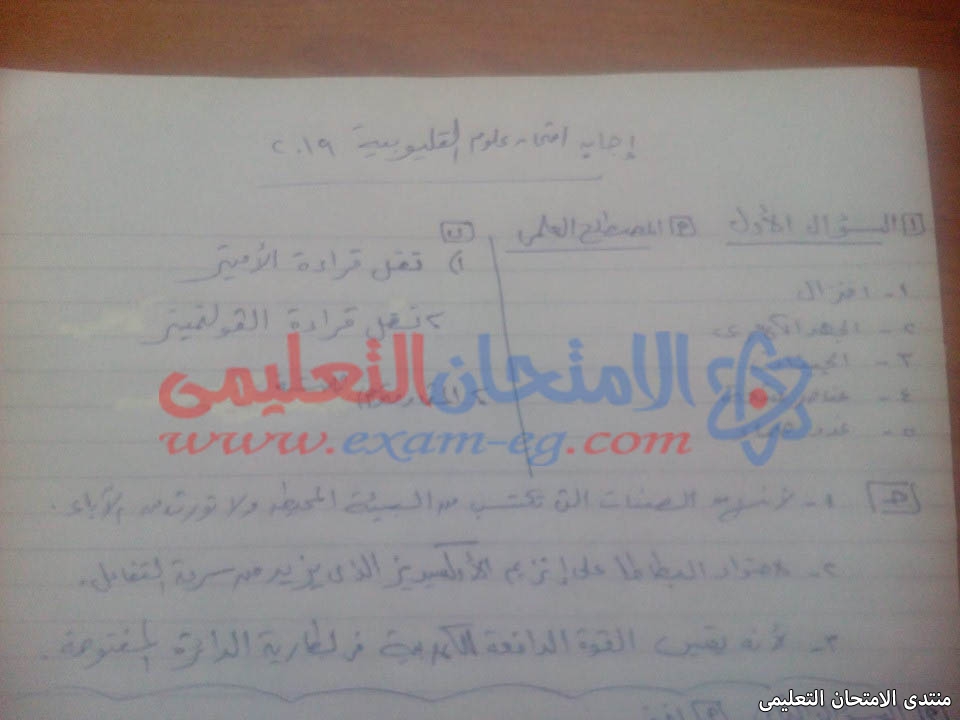 exam-eg.com_155759000944619.jpg