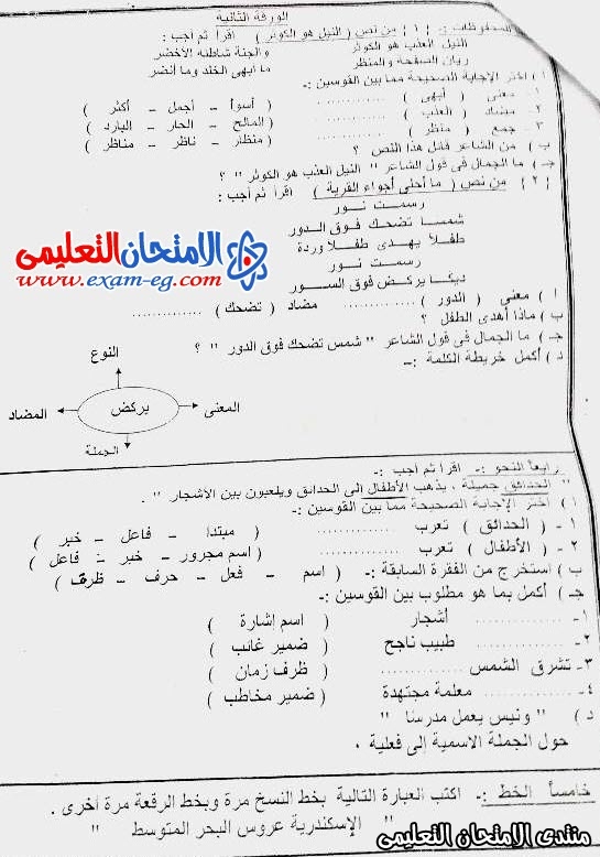 امتحان عربي رابعة ابتدائى ترم اول البحر الاحمر