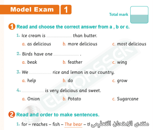 exam-eg.com_163887600170011.png